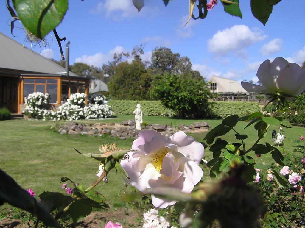 Wagners Cottages Swansea Luaran gambar
