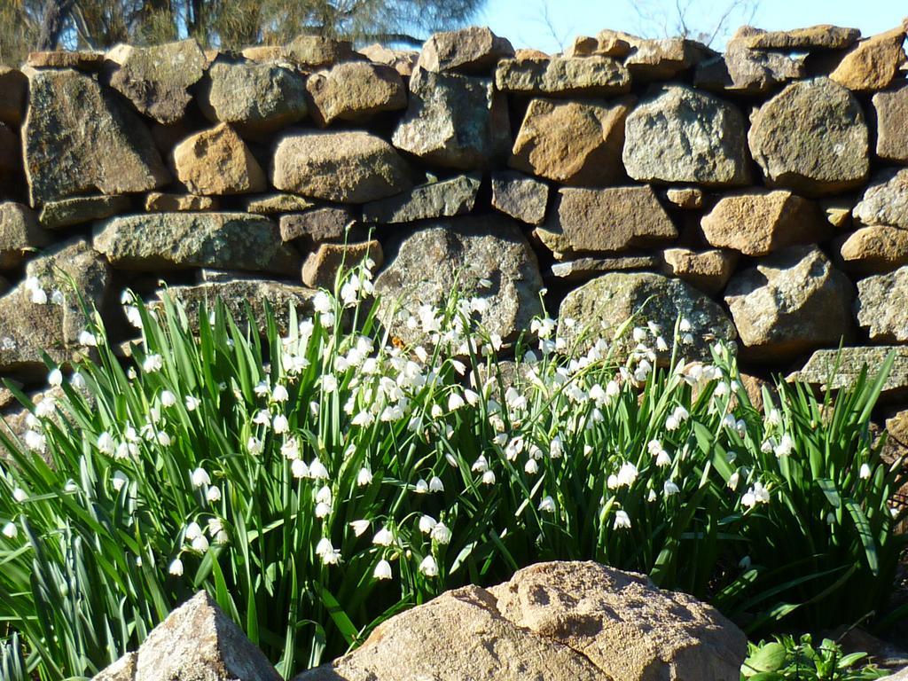 Wagners Cottages Swansea Luaran gambar